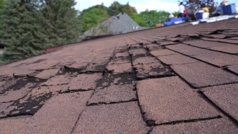 Best Roofing for New Construction  in Carpentersvle, IL