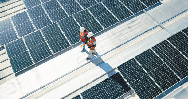 Best Roof Moss and Algae Removal  in Carpentersvle, IL