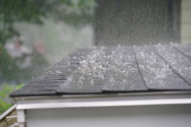 Best 4 Ply Roofing  in Carpentersvle, IL