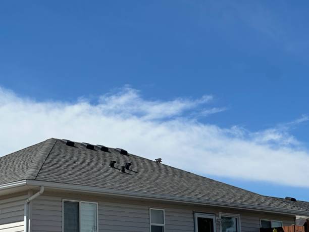 Best Roof Installation  in Carpentersvle, IL