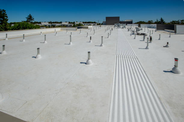 Best Steel Roofing  in Carpentersvle, IL